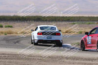 media/Oct-04-2025-OnGrid (Sat) [[44bd565ffa]]/Purple Group/Grapevine/